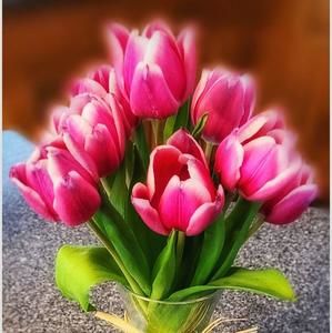 Meet your Posher, Janice